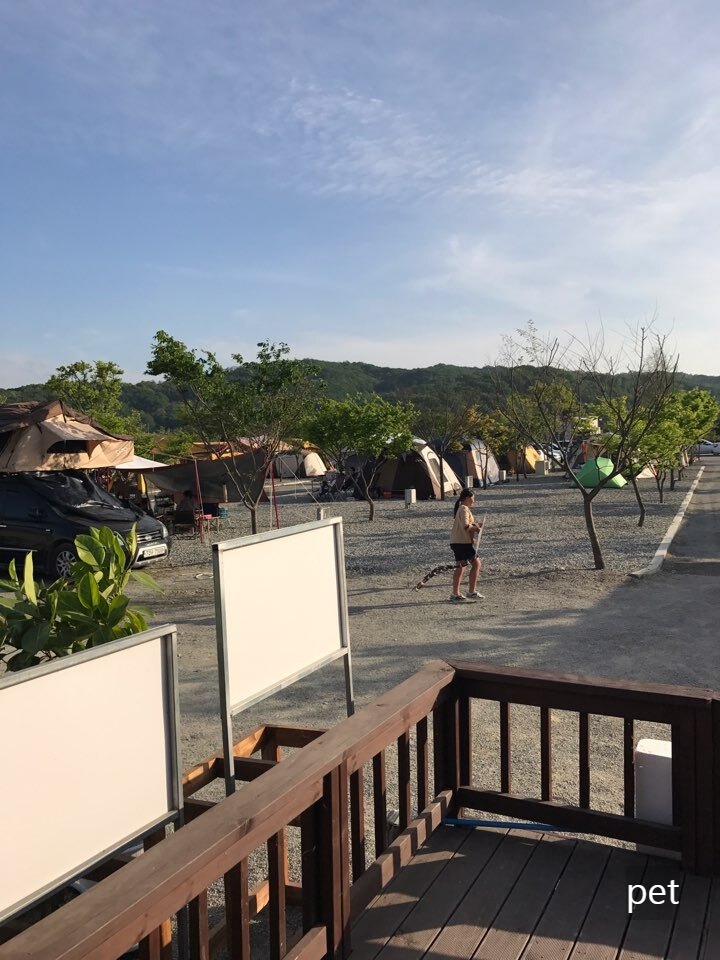 경기-연천-캠핑브릿지캠핑장-예약-방법-애견-동반-가격-주소-시간-후기