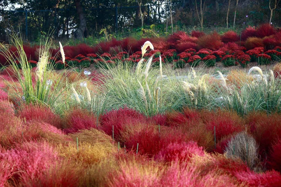 10월 지역 축제 충남 충북 가을 축제 정보