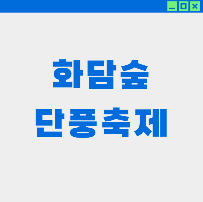 화담숲 단풍축제 최고 포토존 5곳 완벽 가이드