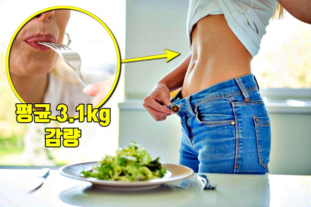 다이어트 식이요법,감량 탄단지 비율