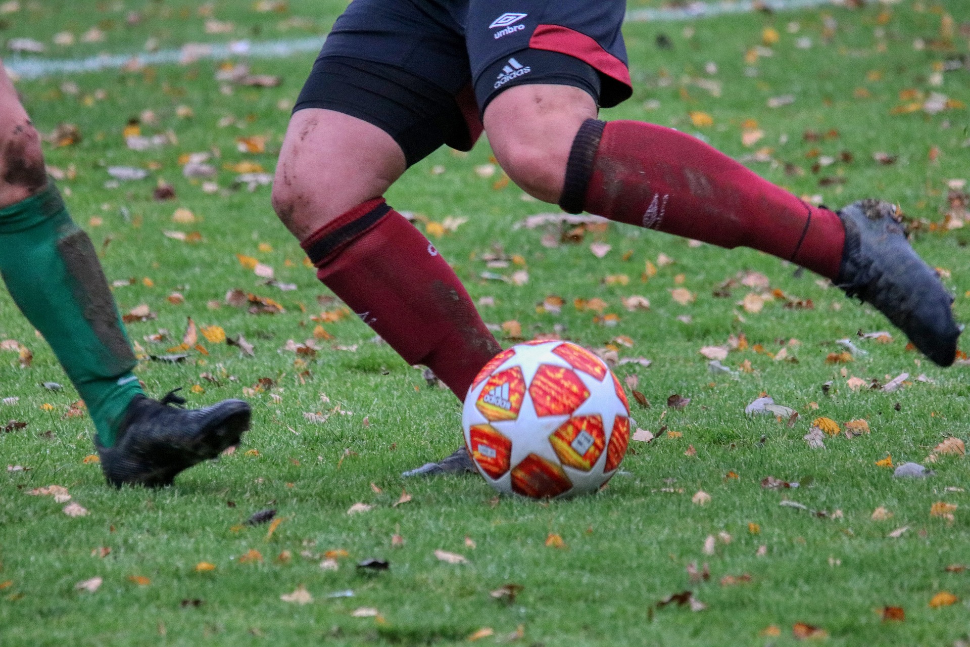 스피드 관련 사진