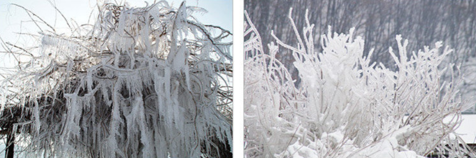 동막골빙어축제