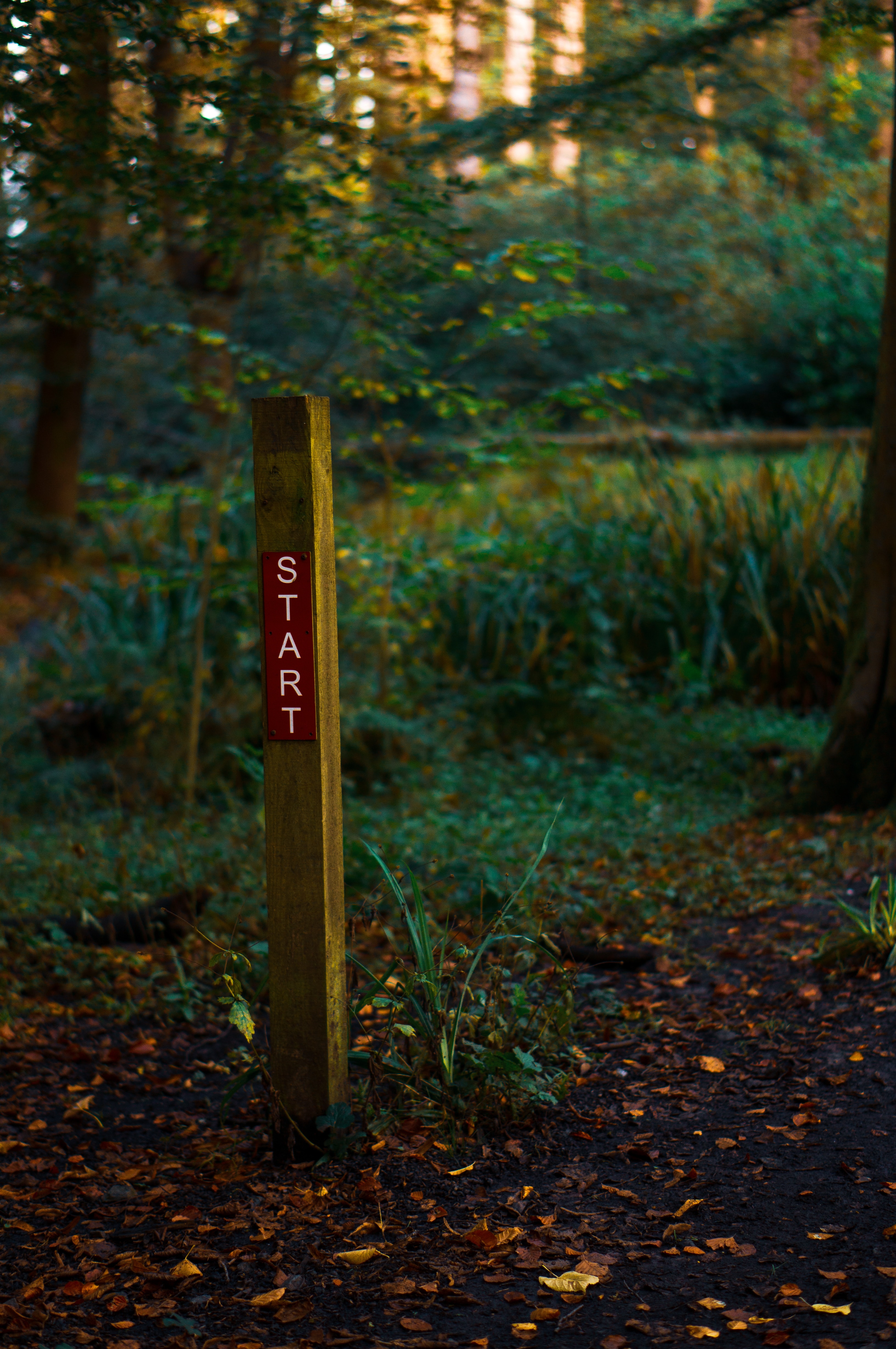 시작-Start