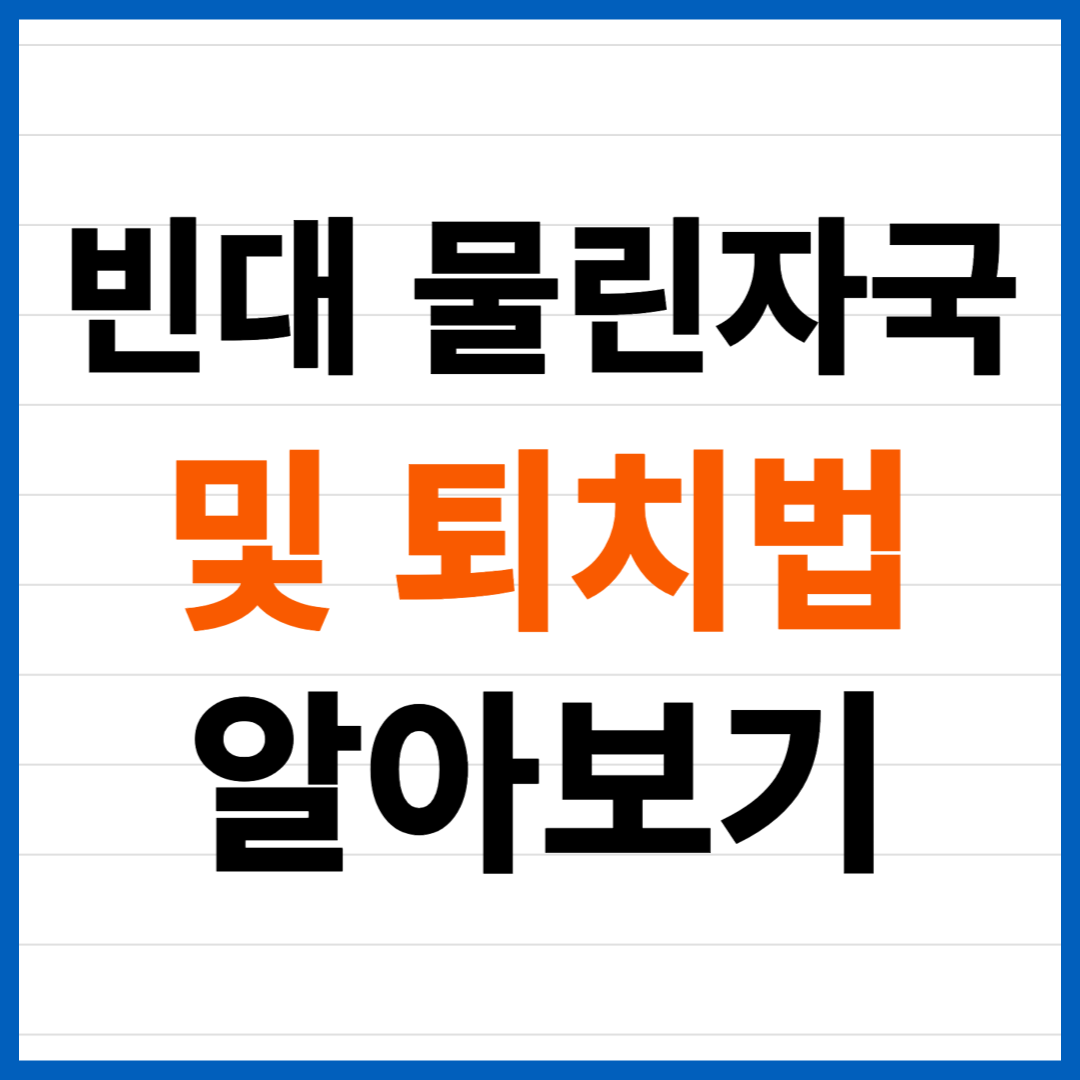 빈대 물린자국