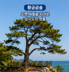 삽시도 둘레길은 천천히 걷기 좋습니다2