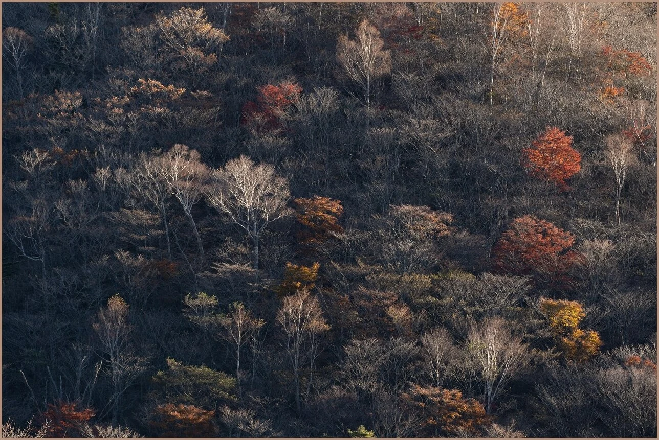 국민은행 정기예금 금리