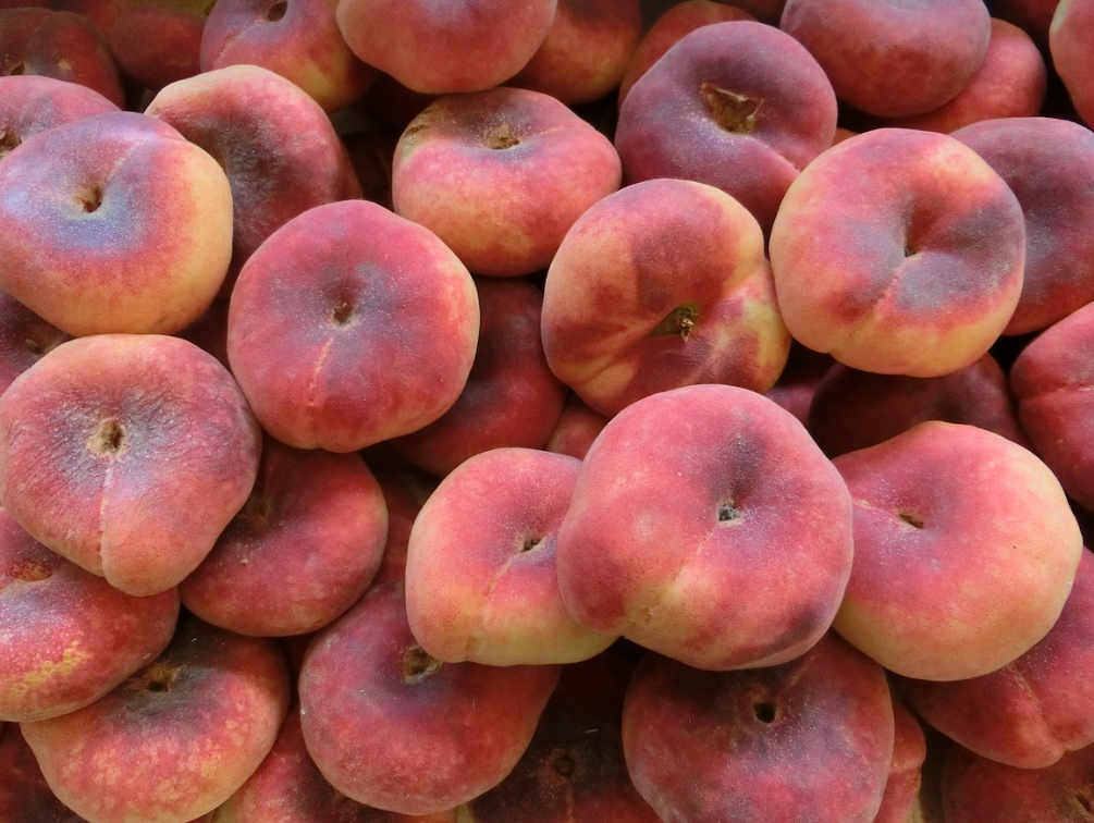 [복숭아] 여름 필수템! 복숭아 한 알로 피부미인&amp;숙취해소, 효능 및 부작용 공개!