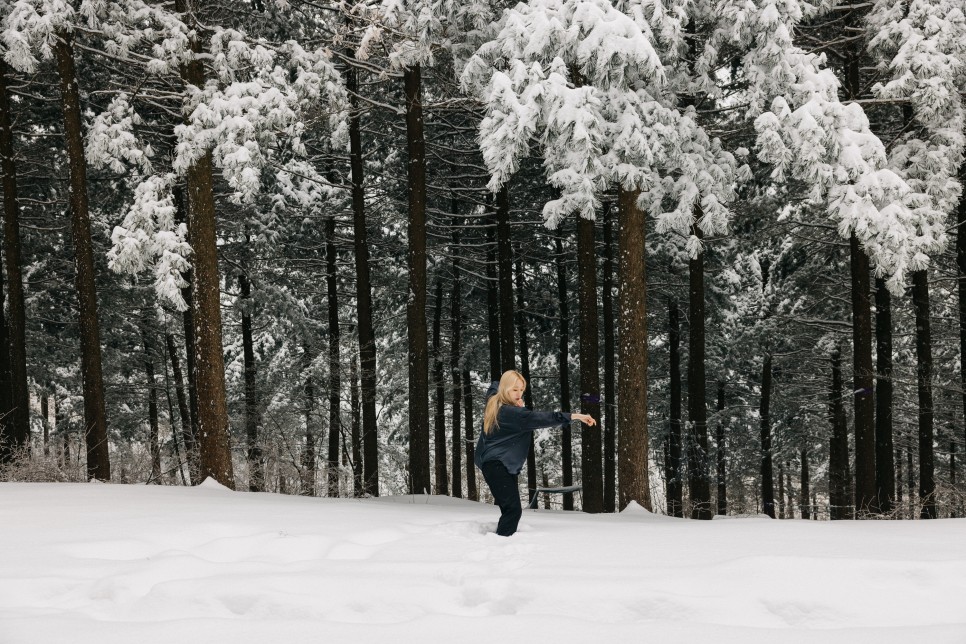 대관령 양떼목장
