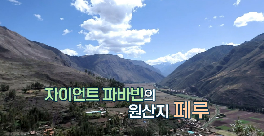 파바빈이란