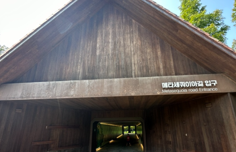 담양 곤충박물관