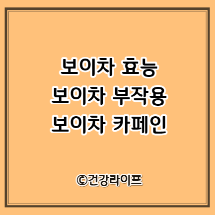 보이차 효능, 보이차 부작용, 보이차 카페인