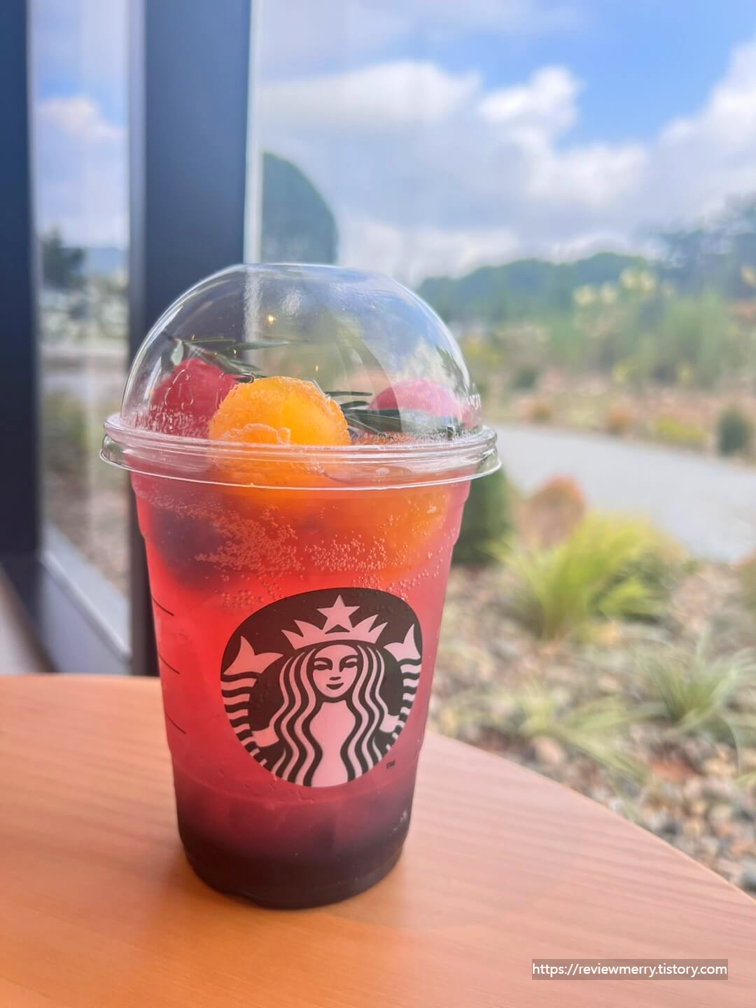 바다 자몽 피지오 사진