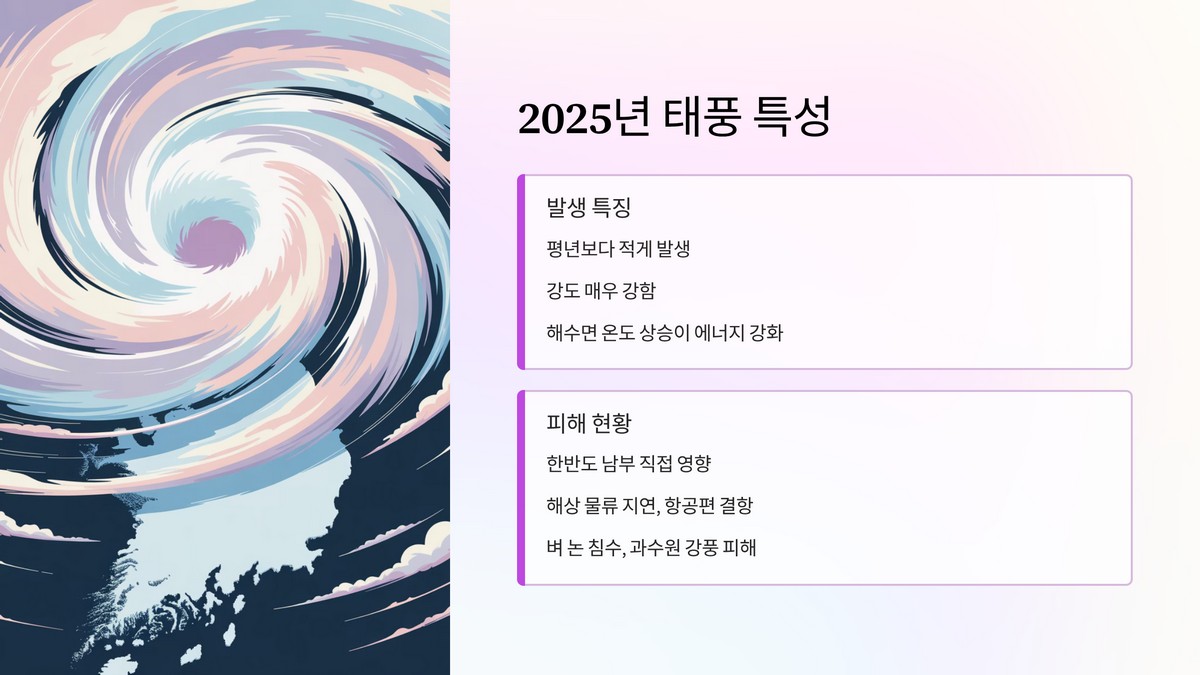 태풍 발생 현황과 영향