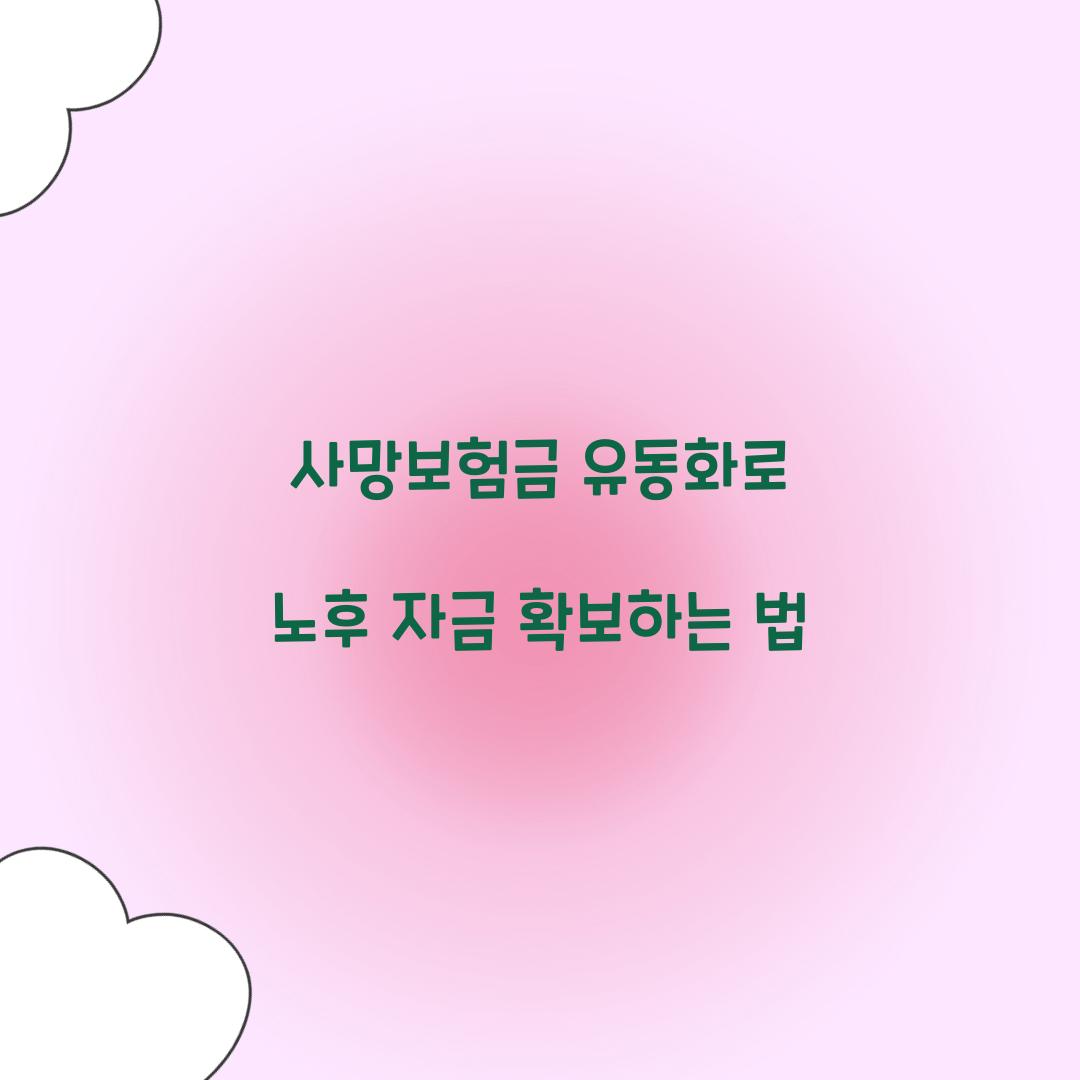 사망보험금 유동화