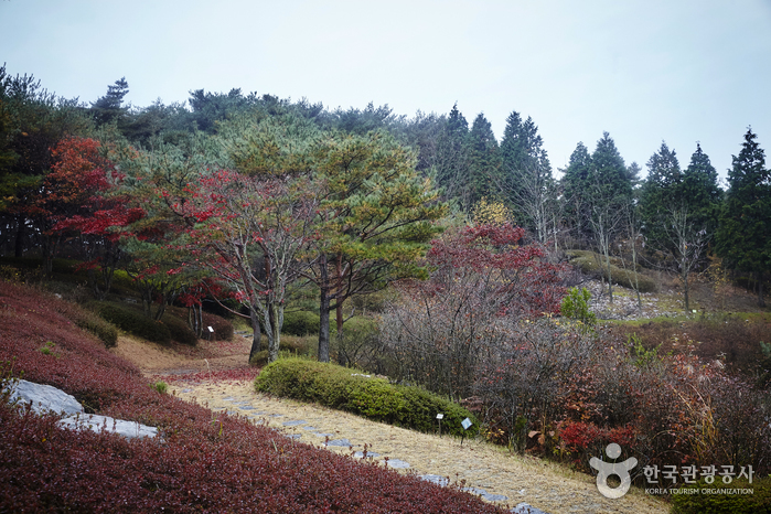 안면도수목원 가이드 : 입장료 할인부터 예약까지