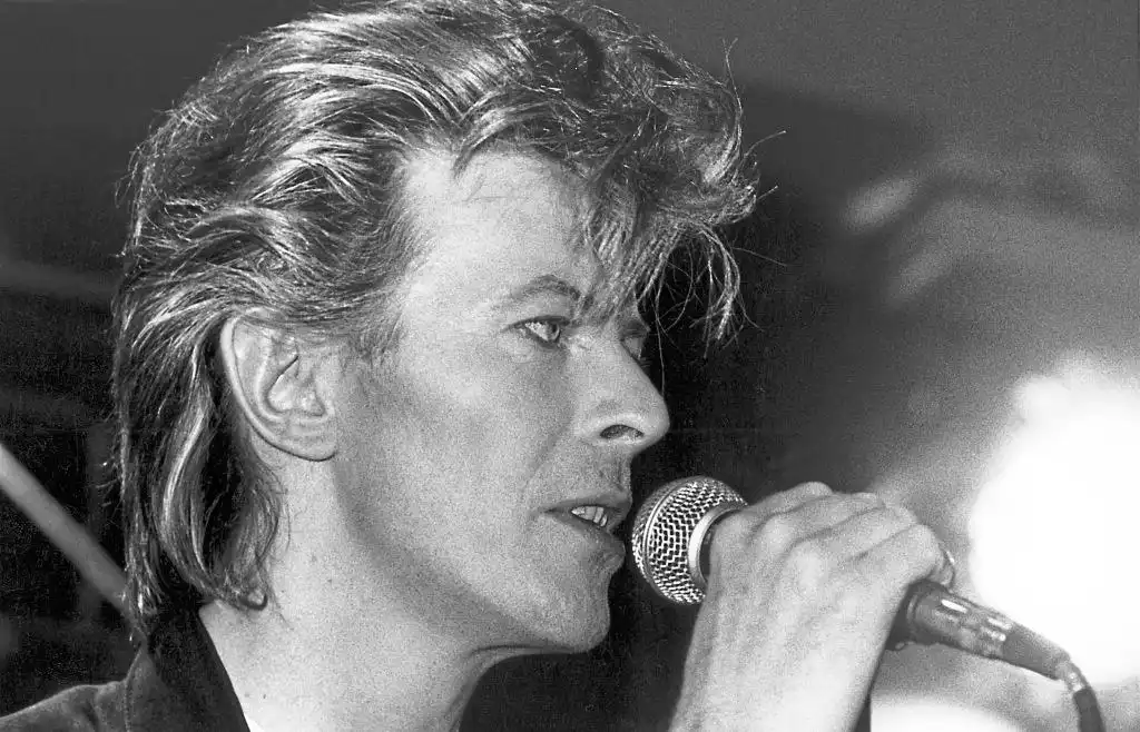 데이비드 보위 흑백 사진