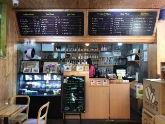 태백 고한 도계 시외버스 터미널 시간표 예매 요금_22