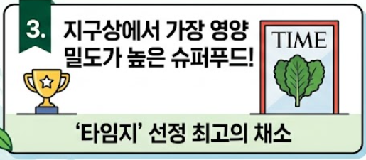 케일 효능