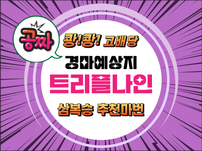 트리플나인 금요경마 무료예상지 경마예상지