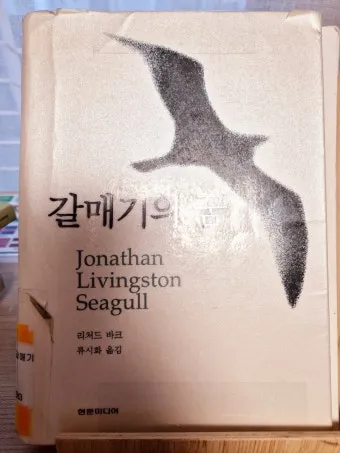 갈매기의 꿈 줄거리 자기초월 우화 리처드 바크_18