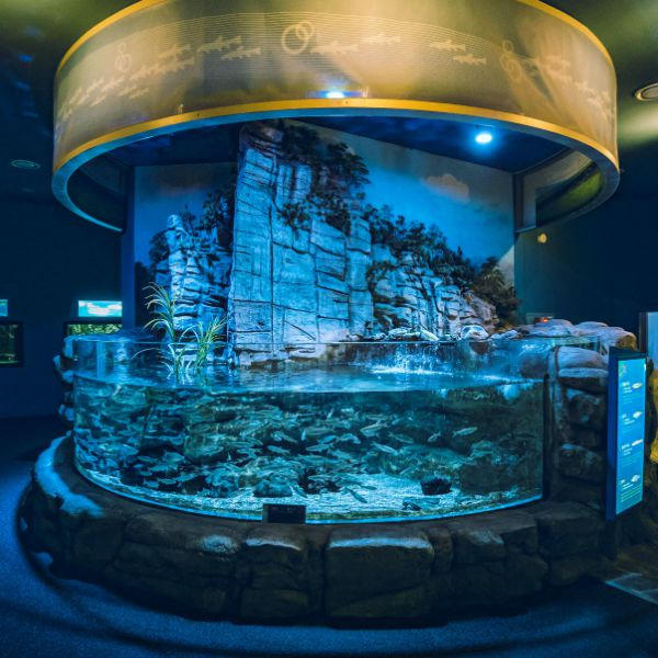 다누리아쿠아리움