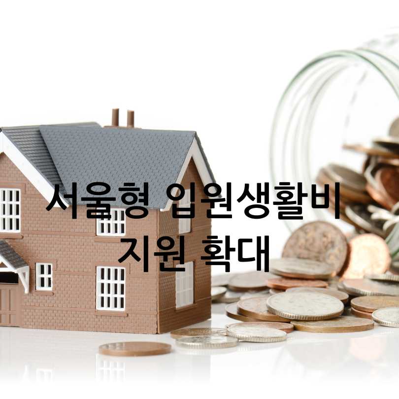 서울형 입원생활비 지원