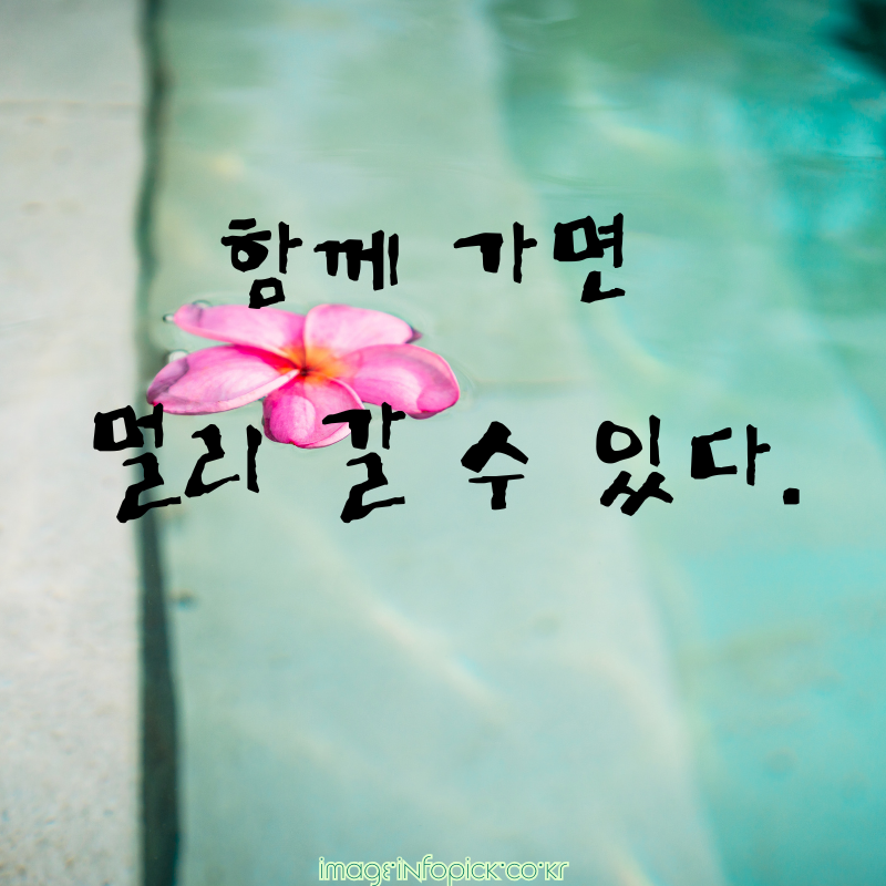 캘리그라피 글귀 좋은 명언 글씨체