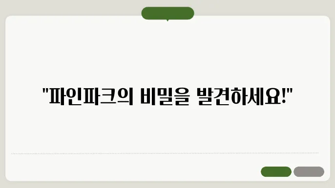 파인파크 어유 안내의 홈페이지 https://pinepark.co.kr/