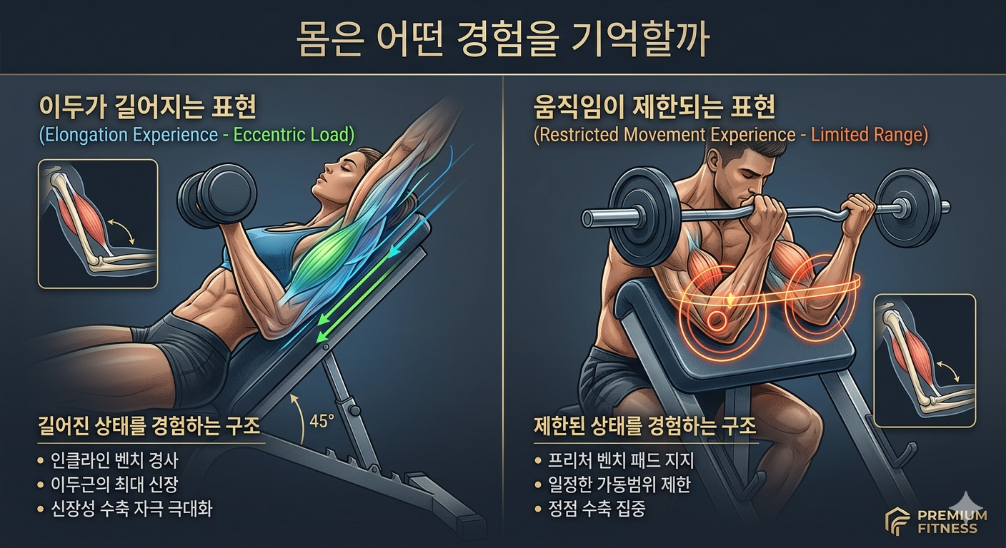 몸은 어떤 경험을 기억할까