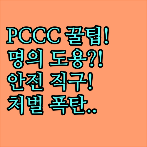 해외 직구 안전 통관을 위한 PCCC..