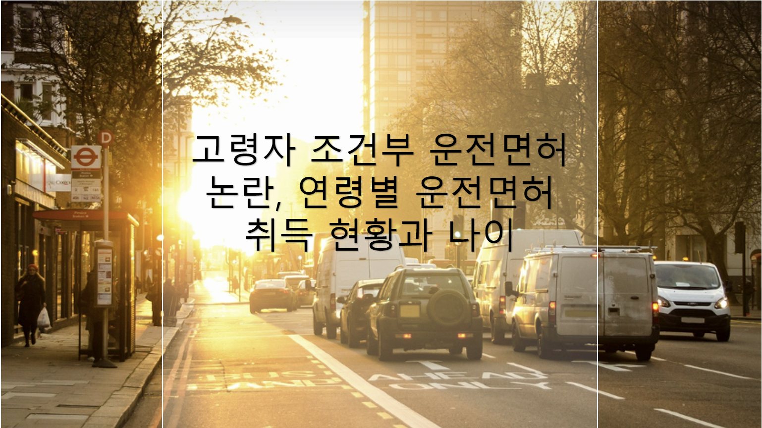 고령자 조건부 운전면허