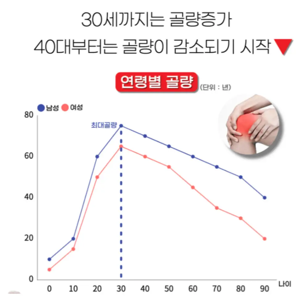 프로테오글리칸 효능 가격 추천