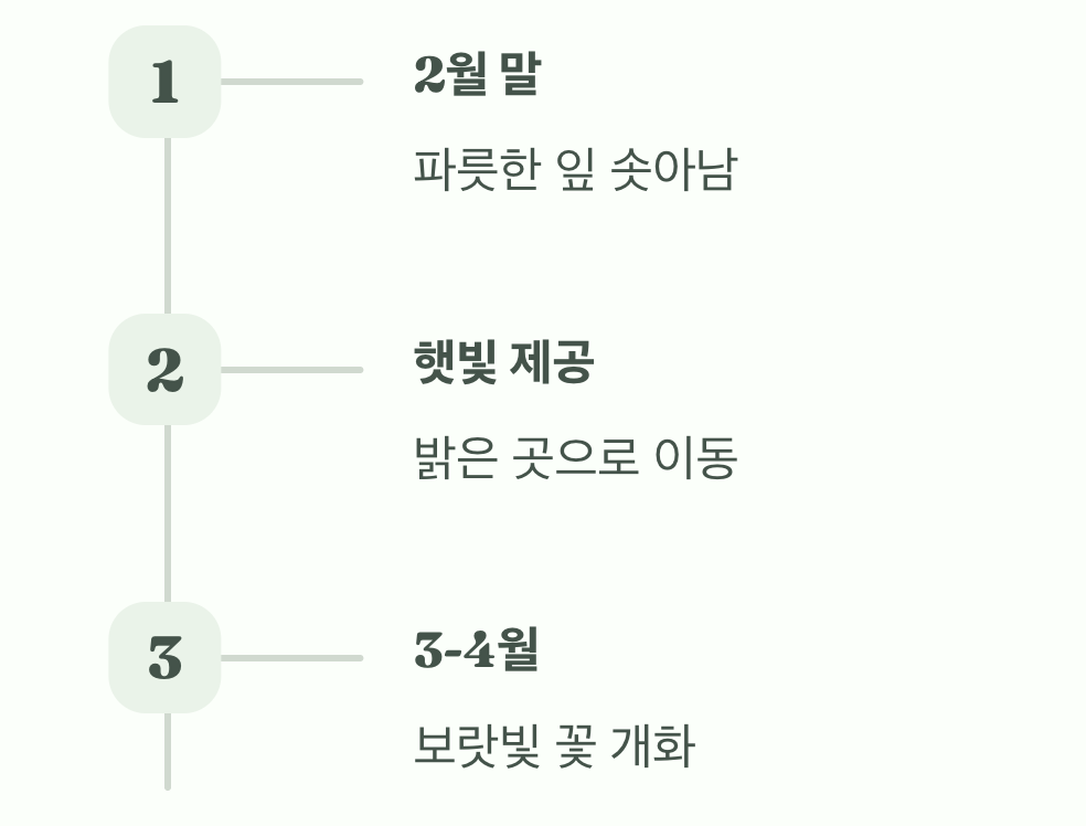봄, 드디어 마주하는 보랏빛 기쁨