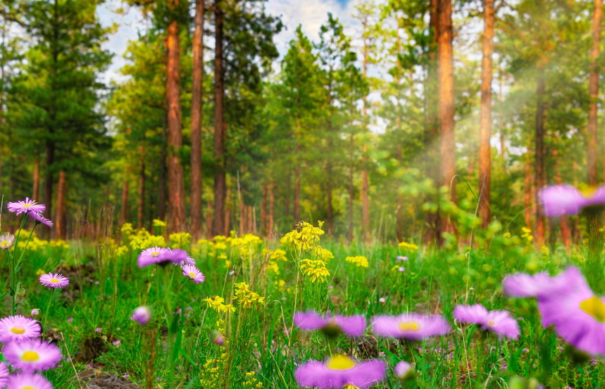 SNS 화제의 국내 감성 명소 5곳