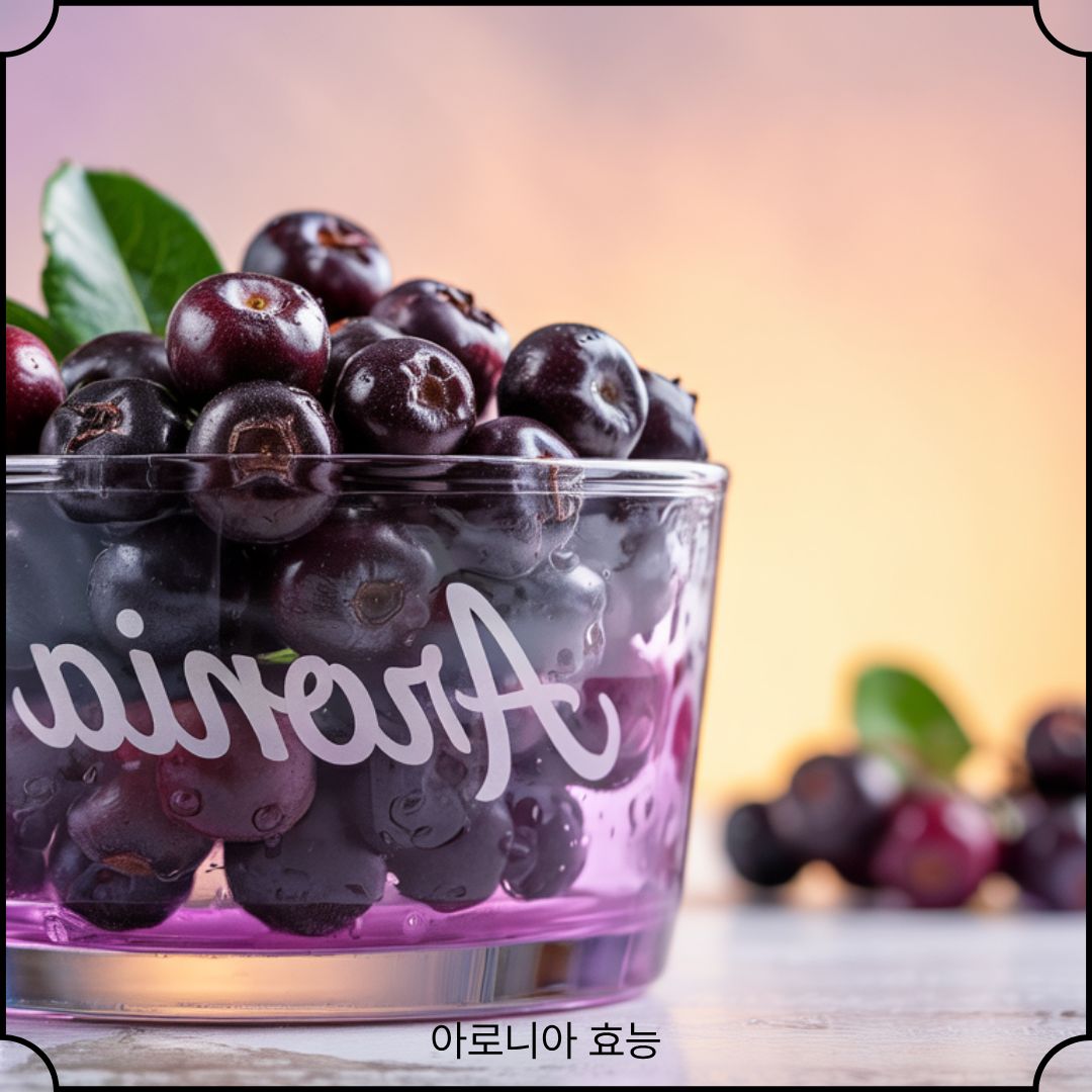 아로니아 효능