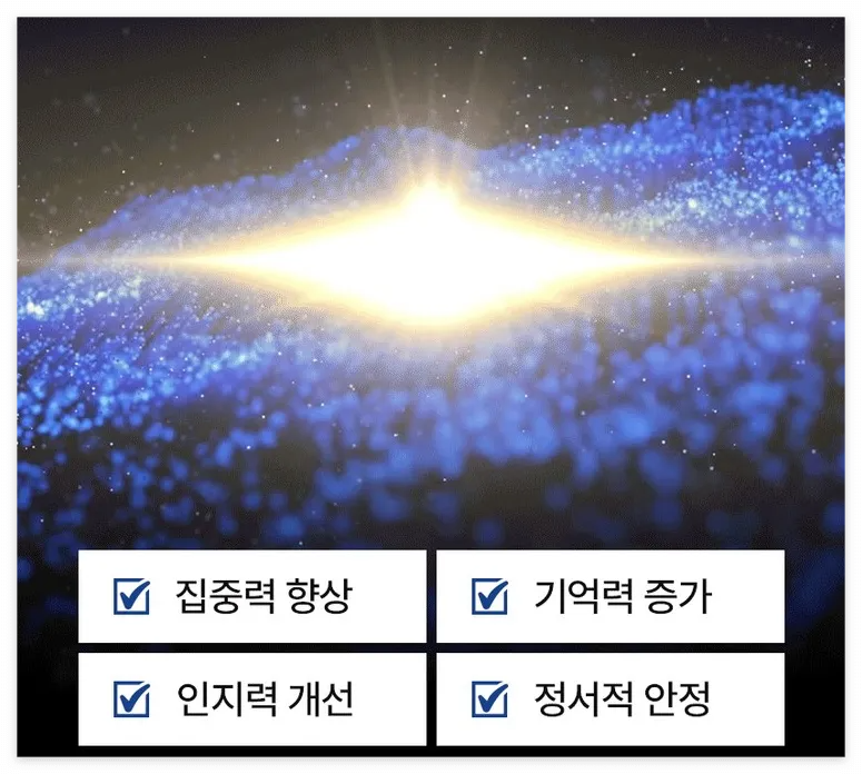 콘타드 정 효과와 후기