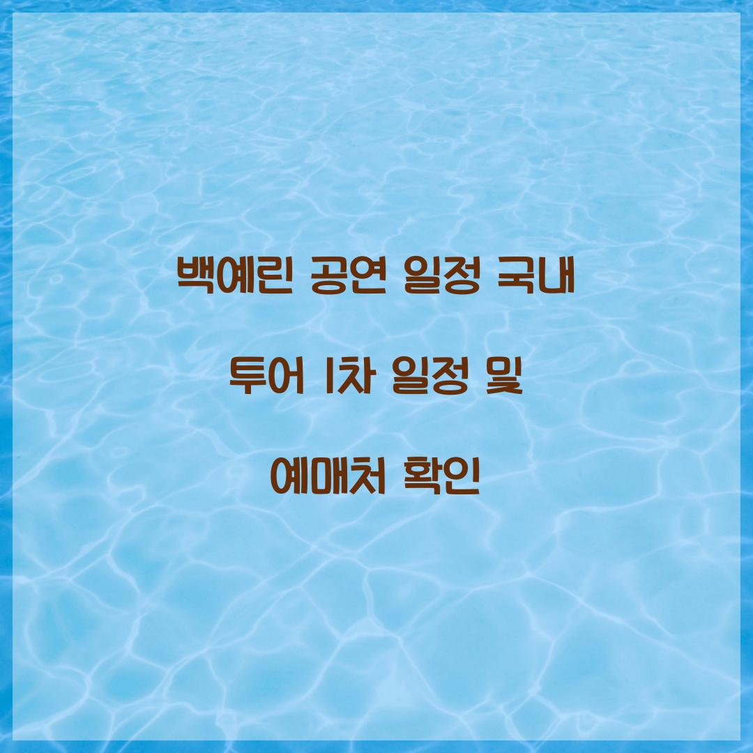 백예린 공연 일정