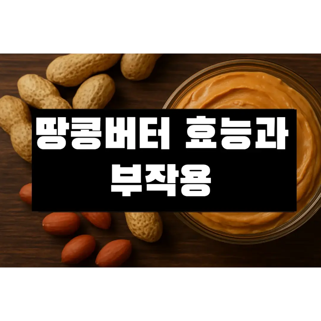 땅콩버터 효능과 부작용