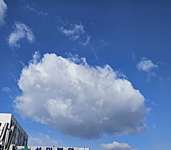 VI-발동-종목-매매-타이밍-전략-리스크-관리-검색식-방법