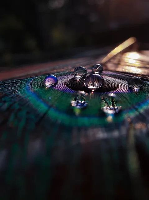 Son gli occhi tuoi 그대의 눈동자 Marcelo Álvarez Salvatore Licitra 완벽 오페라 감상_2