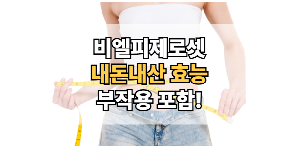 blp제로셋-내돈-후기-효과