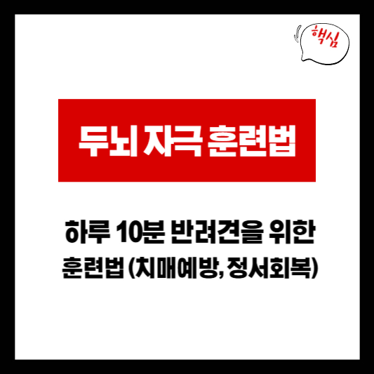 반려견을 위한 두뇌 자극 훈련법