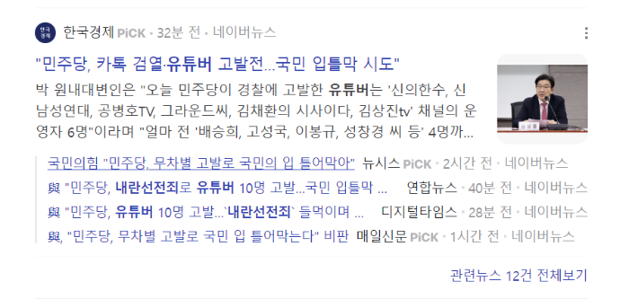 민주당의 유튜버 고발