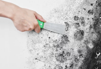 곰팡이 제거 방법: 베이킹소다 활용