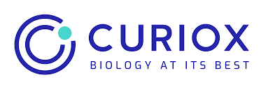 큐리옥스바이오시스템즈_로고