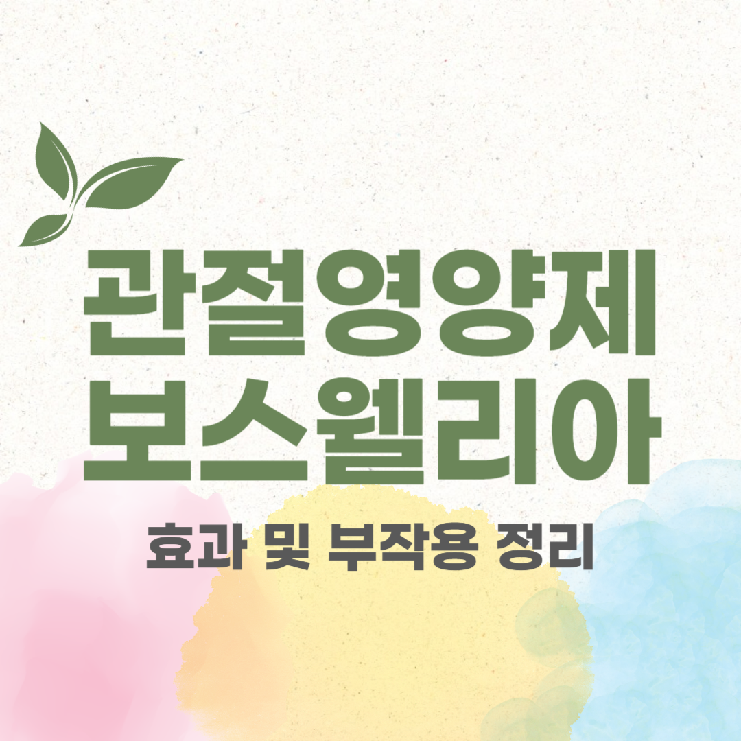 관절 영양제 추천 보스웰리아 효과, 부작용