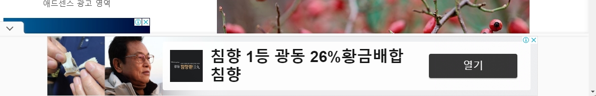 앵커광고 위치 변경
