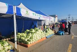 농할상품권 구매 방법 총정리 가이드