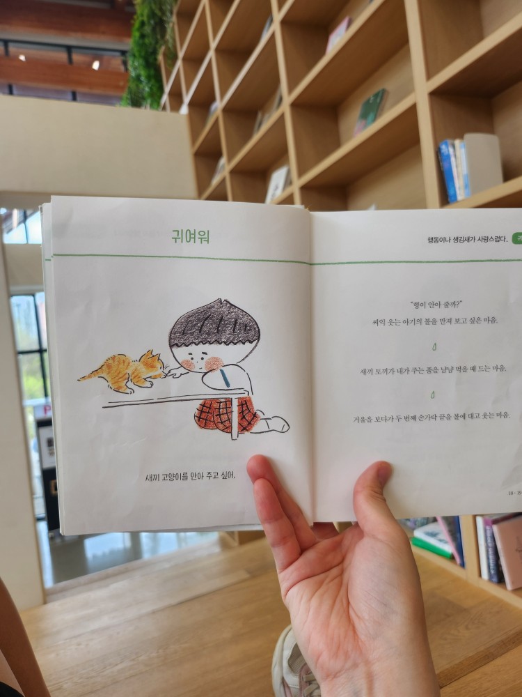 책