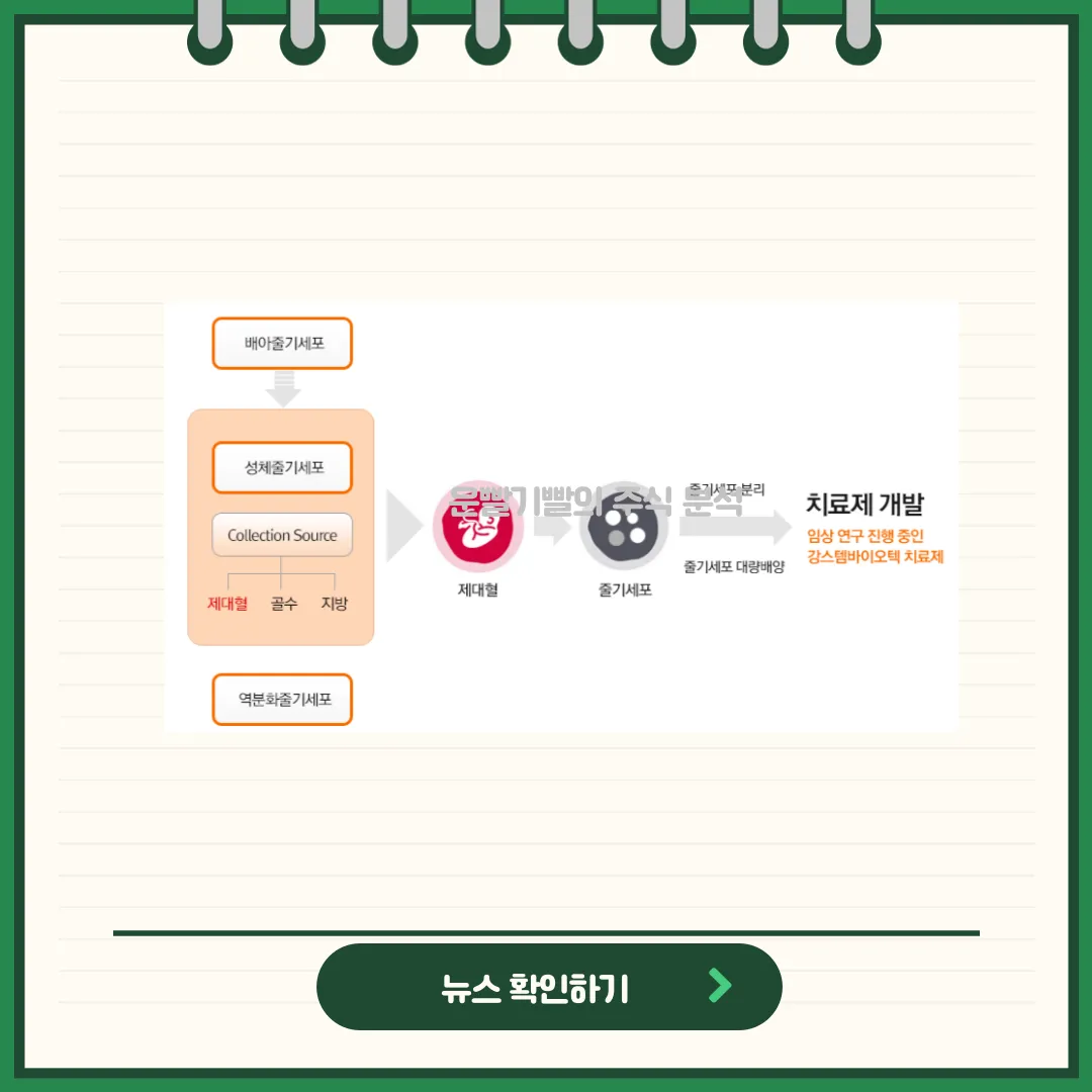 강스템바이오텍 뉴스